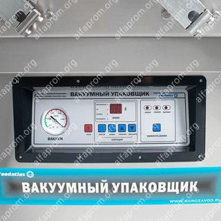 Вакуумный упаковщик DZQ-400/2SC Foodatlas Eco