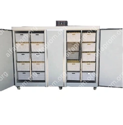 Проращиватель семян, бобов, злаков BSC-600A Foodatlas