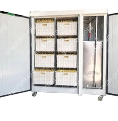 Проращиватель семян, бобов, злаков BSC-100A Foodatlas